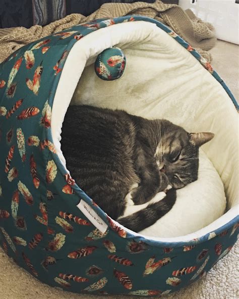 Comes with a plush, machine-washable cushion that cats will love to lounge on. . Tj maxx cat bed